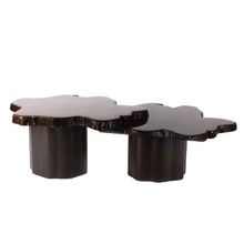 Load image into Gallery viewer, Gaia Overlap Tables