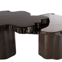 Load image into Gallery viewer, Gaia Overlap Tables