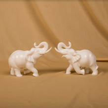 Load image into Gallery viewer, Elephant (3 kinds)