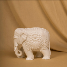 Load image into Gallery viewer, Elephant (3 kinds)