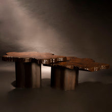 Load image into Gallery viewer, Gaia Overlap Tables